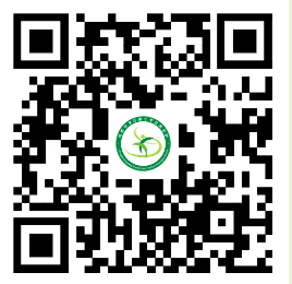 1753345961129842.png image.png